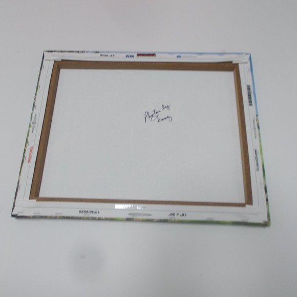 "Golden Monkeys" photography print on stretched canvas, 16"x20" by Nancy - Picture 4 of 5